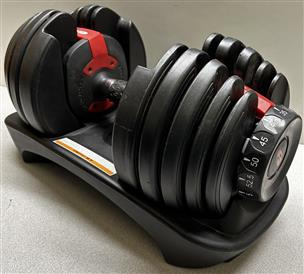 Bowflex best sale 525 dumbbells